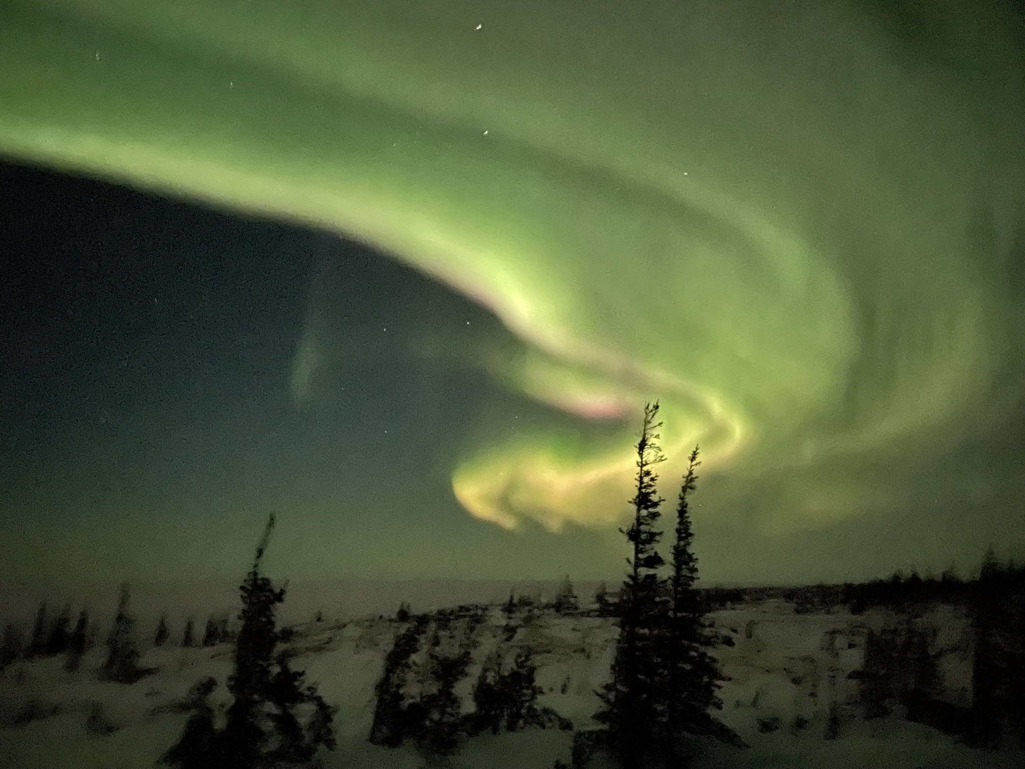 Dori’s Northern Lights Trip in 2022 DMUS Des Moines Ukulele Strummers